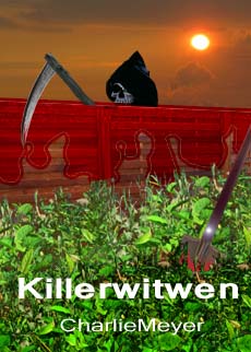 Ebook-Krimi "Killerwitwen"